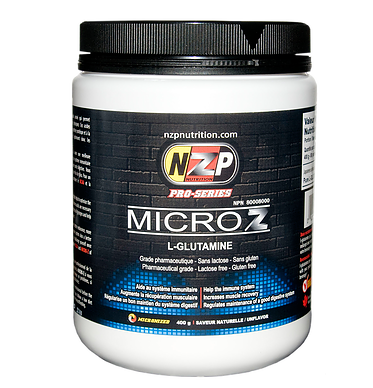 MICRO Z NZP